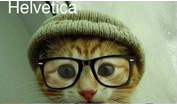 Helvetica cat